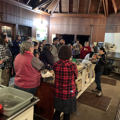 MYCOLOGICAL SOCIETY OF SAN FRANCISCO - Mendocino Woodlands Camp