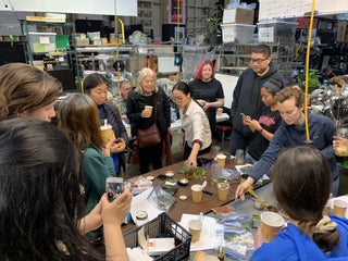 COUNTER CULTURE LABS - Wild Feral Food Week