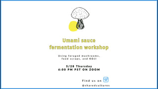 BERKELEY OPEN SOURCE FOOD - 6th Wild/Feral Food Week - Umami Sauce Fermentation Workshop
