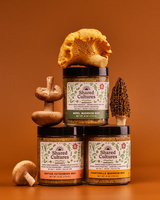 Three jars of Shared Cultures mushroom misos stacked with different mushroom varieties