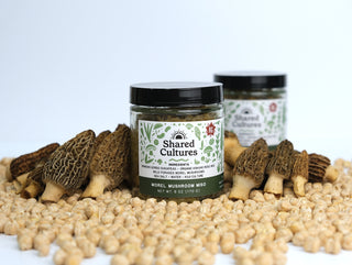 Morel Mushroom Miso