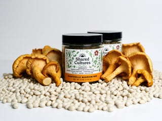 Chanterelle Mushroom Miso