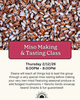 Advertisement for Miso Making and Tasting Class