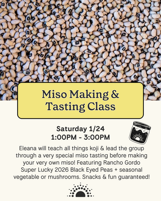 Miso Making & Tasting Class (1/24/26)