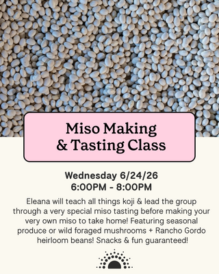 Promotional flyer for Shared Cultures Miso Workshop