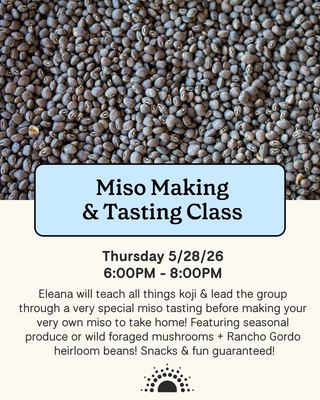 Promotional flyer for a Miso Making & Tasting Class at Shared Cultures
