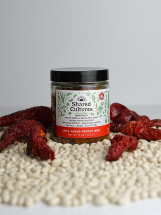 Urfa Ancho Pepper Miso