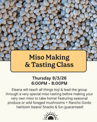 Promotional flyer for Shared Cultures Miso Making & Tasting Class