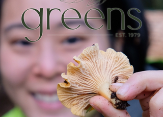 Eleana holding a chanterelle mushroom