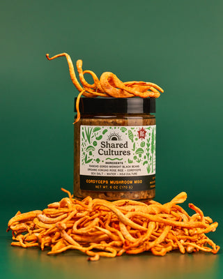 Jar of 'Shared Cultures' Cordyceps Mushroom Miso sitting on top cordyceps