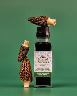 Bottle of 'Shared Cultures' Morel Mushroom Miso Tamari with morel mushrooms stacked around and on top of the bottle