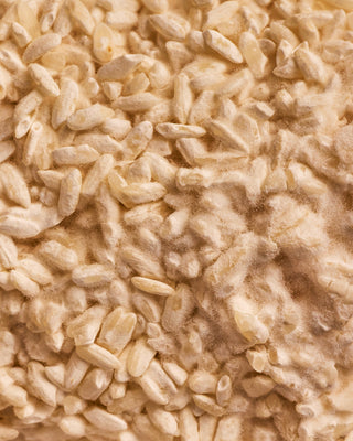 Close-up of koji rice.
