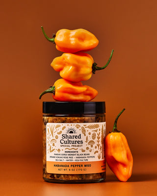 Jar of Shared Cultures Habanada Pepper Miso with habandas stacked on top of the jar.