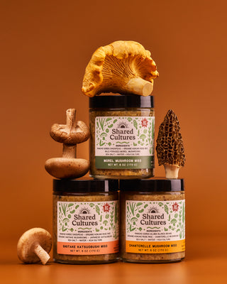 Three jars of Shared Cultures mushroom misos stacked with different mushroom varieties