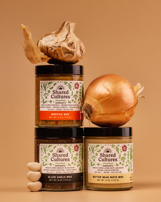 Three jars of Shared Cultures Miso stacked with ingredients