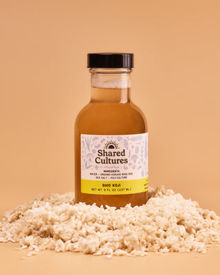 Bottle of Shared Cultures Shio Koji sitting in a pile of koji rice