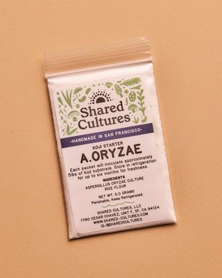 Koji Spores - A. Oryzae