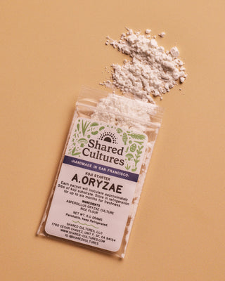 Koji Spores - A. Oryzae